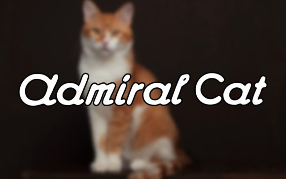 Admiral Cat: The Handwritten Font That Balances Vintage Charm and Modern Polish