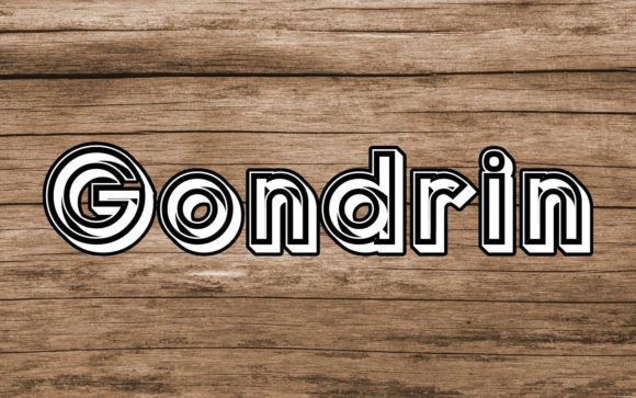 Gondrin: A Futuristic Serif Font for Bold, Modern Designs