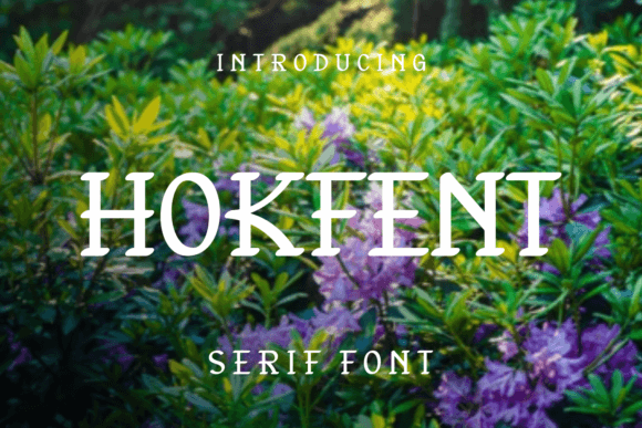 Hokfent: A Playful Serif That Brings Personality to Your Projects